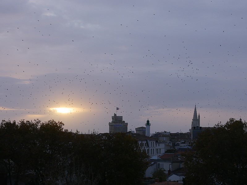 La Rochelle vu d'en haut, 