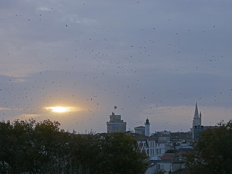 La Rochelle vu d'en haut, 