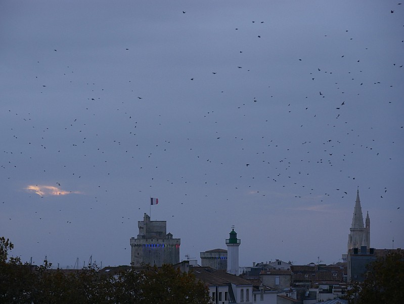 La Rochelle vu d'en haut, 