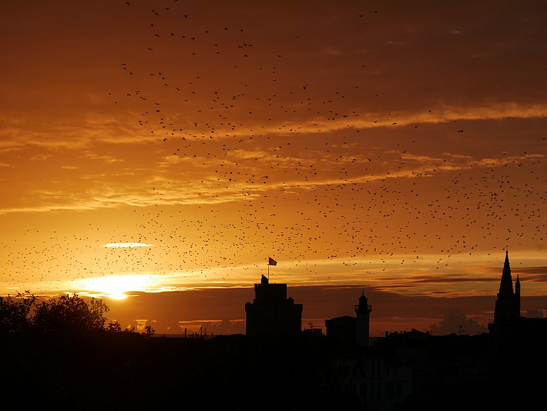 La Rochelle vu d'en haut, 