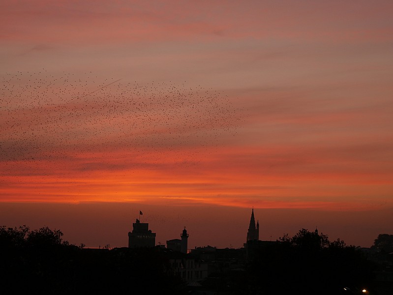 La Rochelle vu d'en haut, 