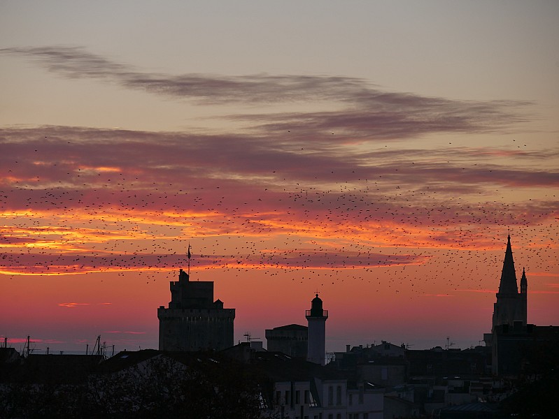 La Rochelle vu d'en haut, 
