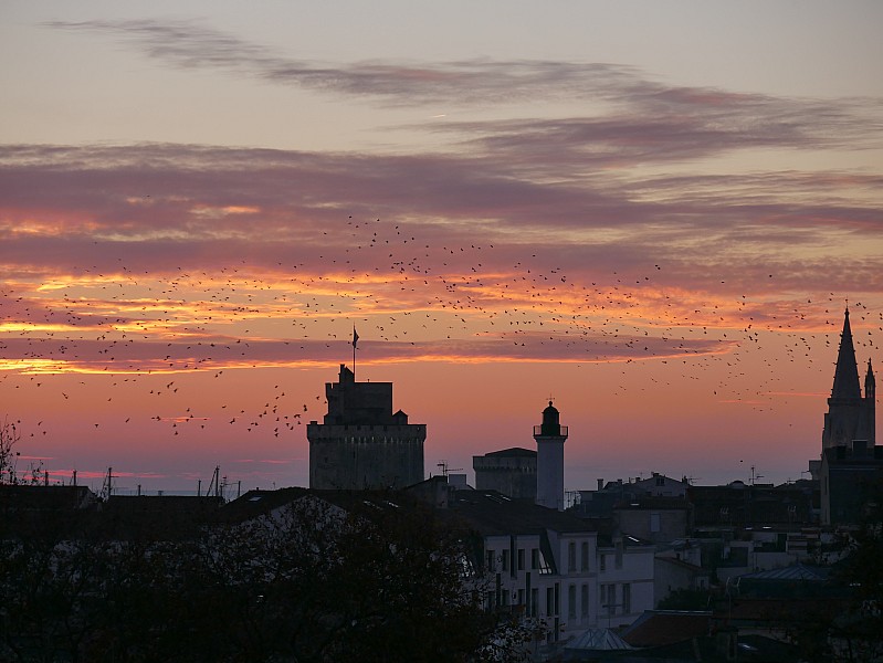 La Rochelle vu d'en haut, 