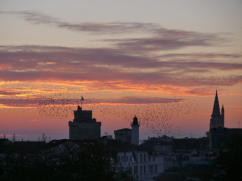 La Rochelle vu d'en haut, 