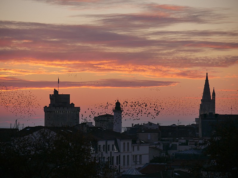 La Rochelle vu d'en haut, 