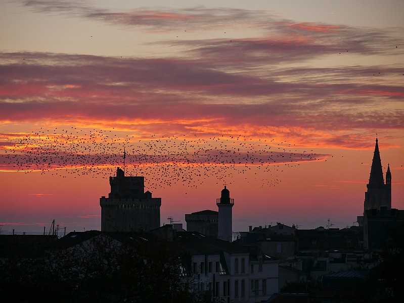 La Rochelle vu d'en haut, 