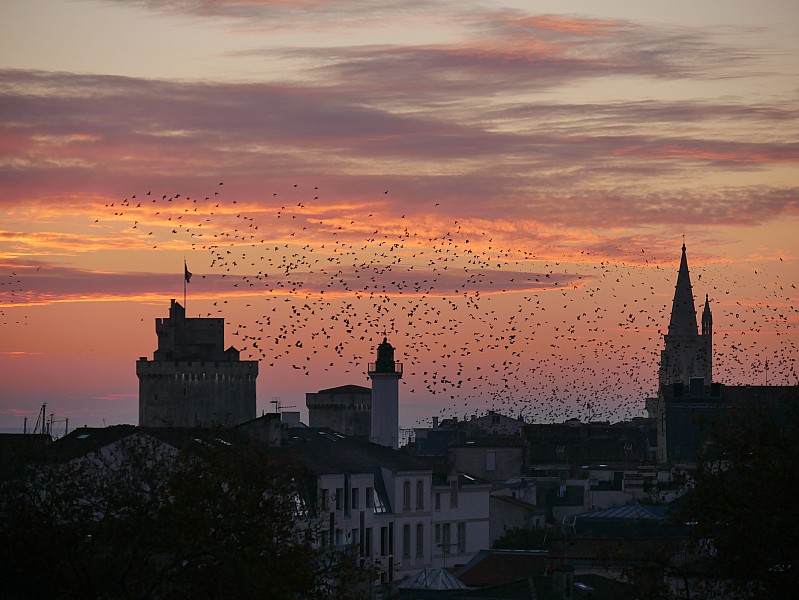 La Rochelle vu d'en haut, 