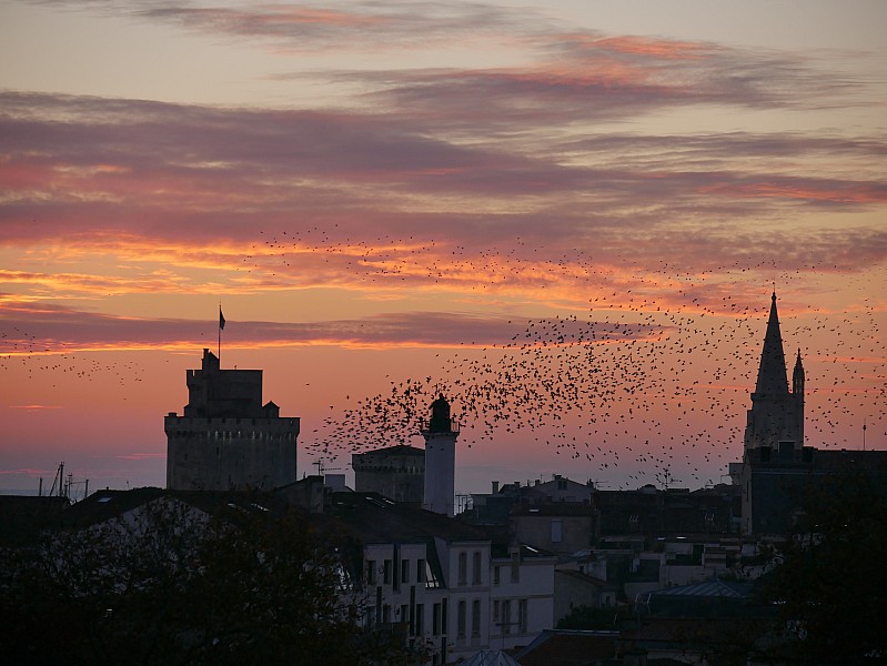 La Rochelle vu d'en haut, 