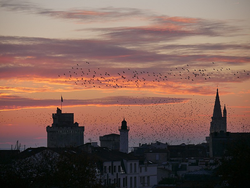 La Rochelle vu d'en haut, 