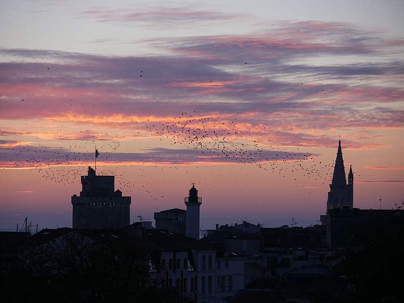 La Rochelle vu d'en haut, 