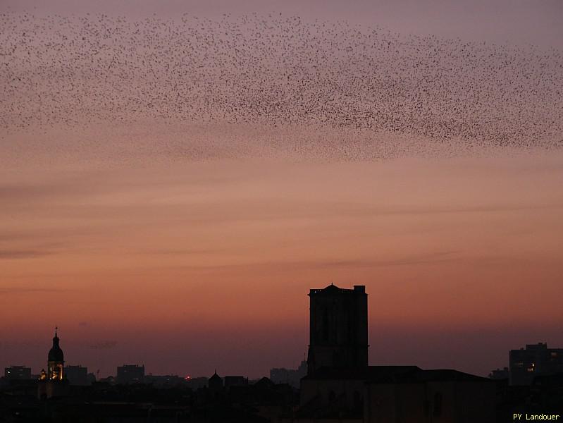La Rochelle vu d'en haut, Horizon, tours, Saint-Sauveur