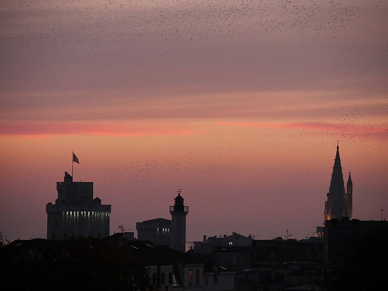 La Rochelle vu d'en haut, 