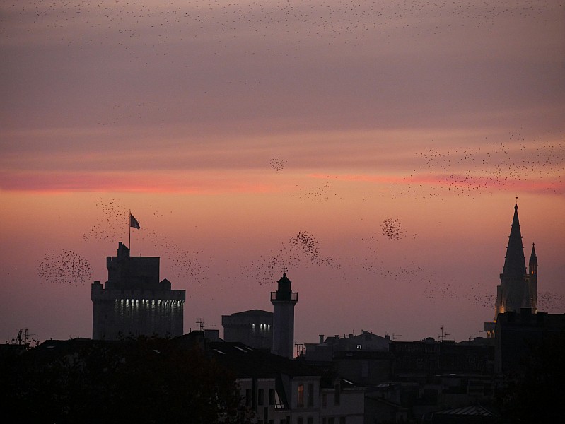 La Rochelle vu d'en haut, 