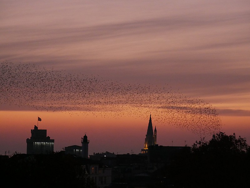 La Rochelle vu d'en haut, 