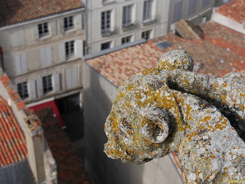 La Rochelle vu d'en haut, Tour Saint-Sauveur