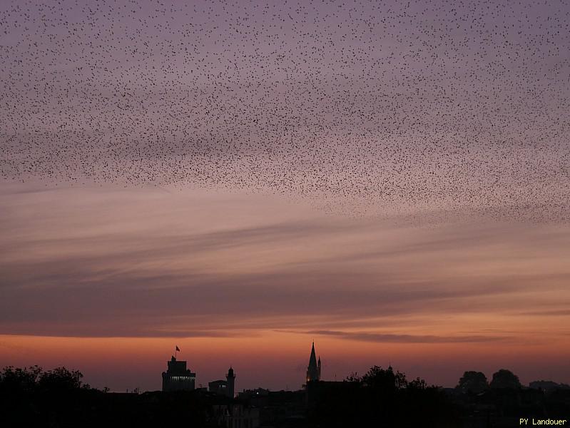 La Rochelle vu d'en haut, Tours vues de loin